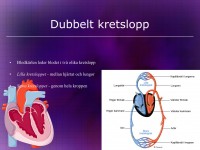 /album/hjart-och-karlsystemet/a6-hja%cc%88rt-och-ka%cc%88rlsystemet-006-jpeg/